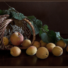 Fruits from a basket
